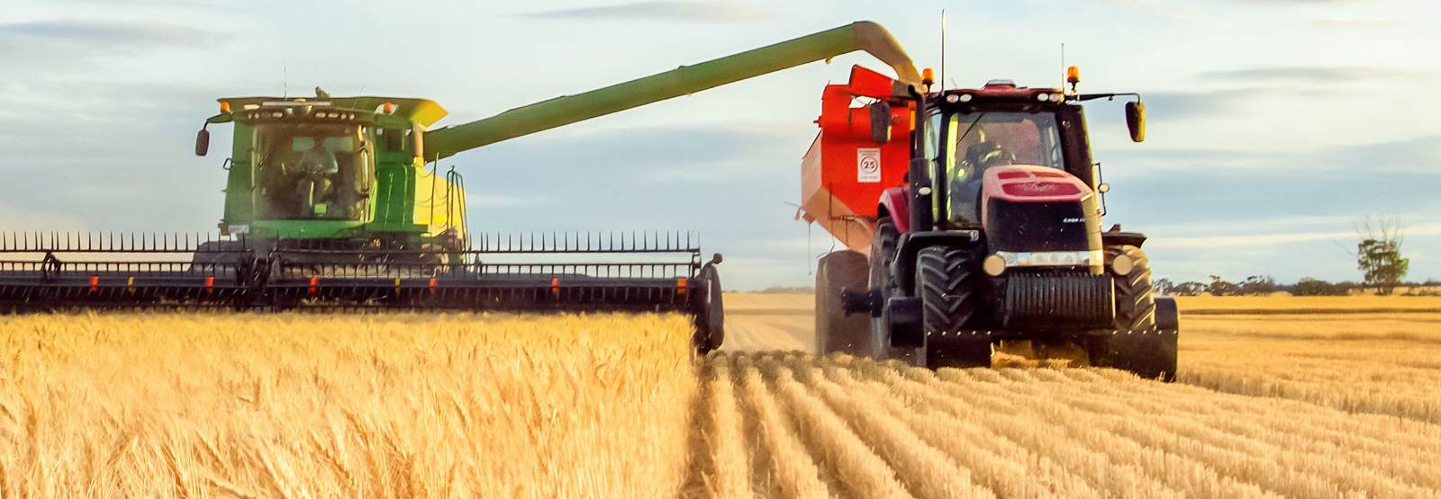 a tractor and combine harvesting wheat