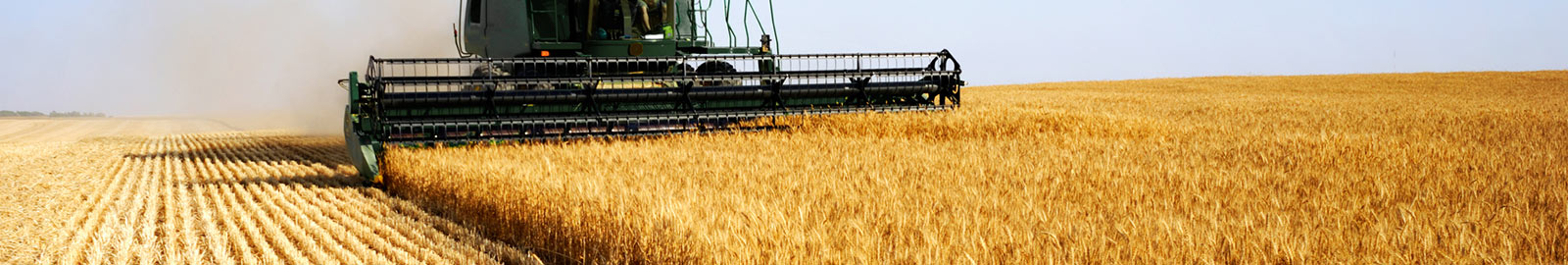 a combine harvesting crops